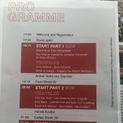 190403 TEDx Flanders_012